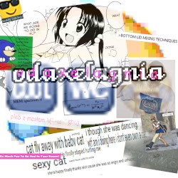 COOL WC