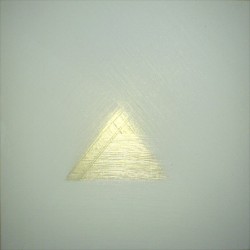 Axolotl & Yellow Swans