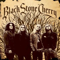 Black Stone Cherry