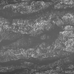 A Great Body Rising and Falling