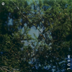 Outside the Dream World