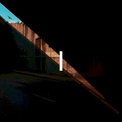 I Drew a Fish Hook, and It Turned Into a Flower