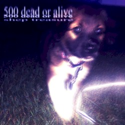 500 Dead Or Alive