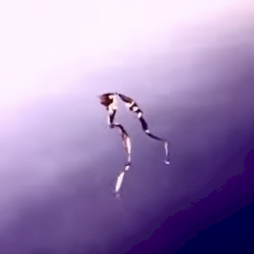 希望の鮮明な記憶