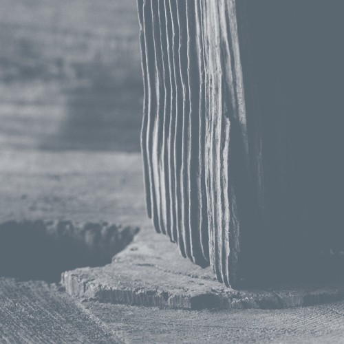 Nessun Legame con la Polvere