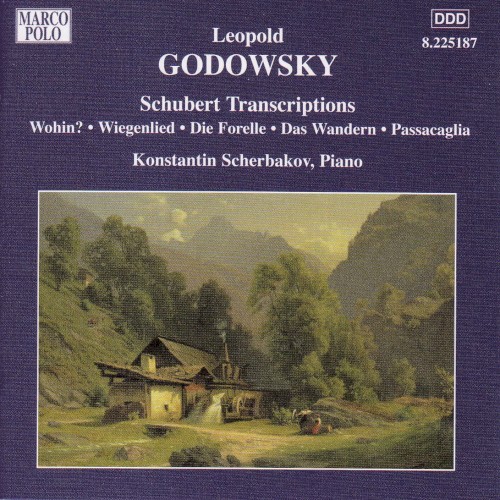 Piano Music, Vol. 6: Schubert Transcriptions