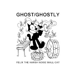 FELIX THE HARSH NOISE WALL CAT