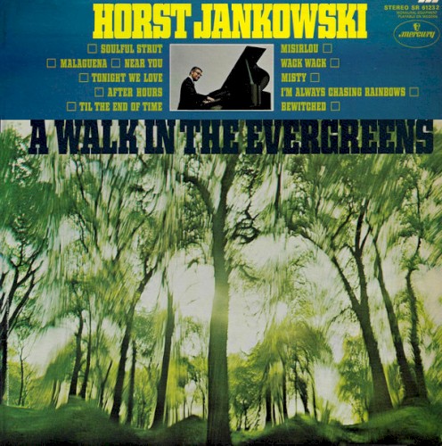 A Walk in the Evergreens