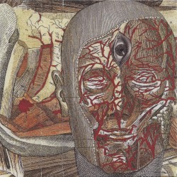 Meditation Convulsions