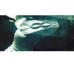 The Asking Breath Comes to Each