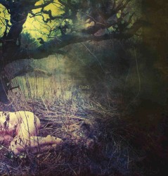 The Apple Never Falls Far From the Tree