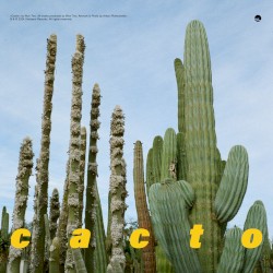cacto
