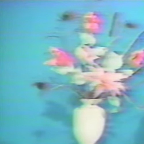 ｄｉｓｐｌａｙ ｃａｓｅ