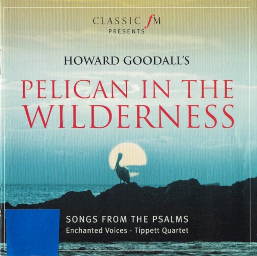 Pelican In The Wilderness