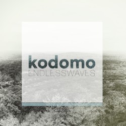 Endless Waves (Remixes)