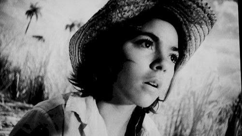 Le Temps Détruit Tout