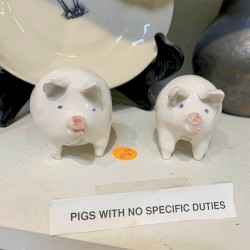 Pigs With No Specific Duties