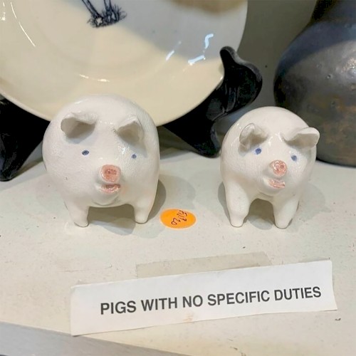 Pigs With No Specific Duties