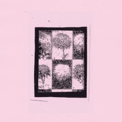 Bleeding Olm / Luxury Mollusc