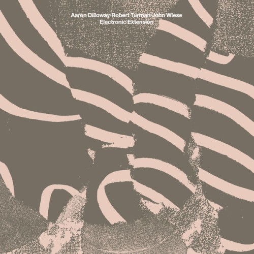 Electronic Extension