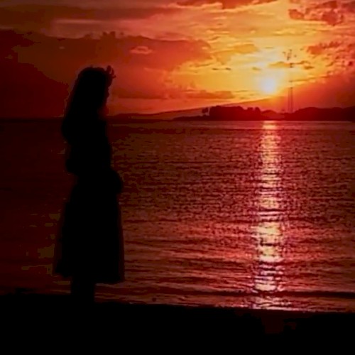 徘徊於夢境之間