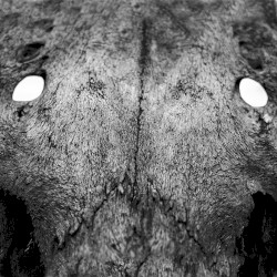 D’entre les morts
