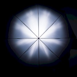 Solitude and Silence