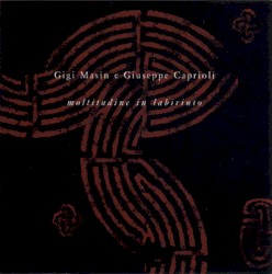 Moltitudine In Labirinto