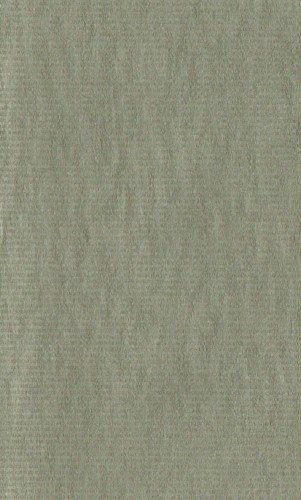 Birchville Cat Motel / Eso Steel