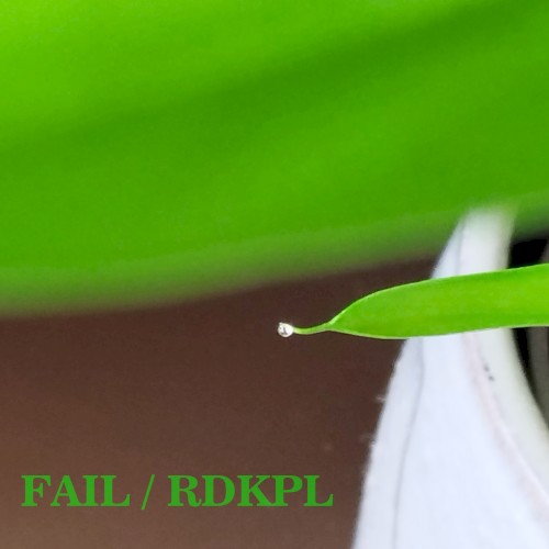 FAIL / RDKPL