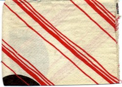 The Melancholy Mad Tenant