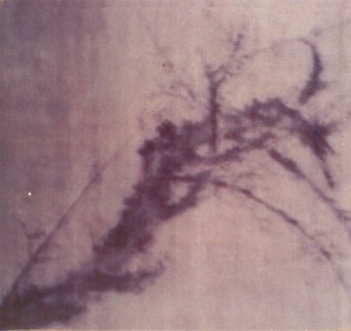 Drowned Yellow Swans