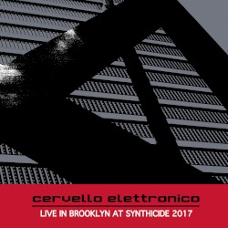 Live in Brooklyn at Synthicide 2017
