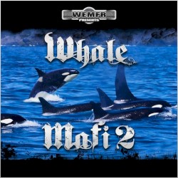 Whale Mafi 2