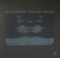 Descension Yellow Swans