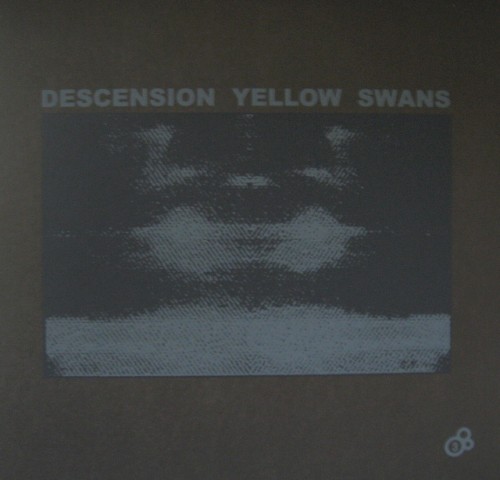 Descension Yellow Swans
