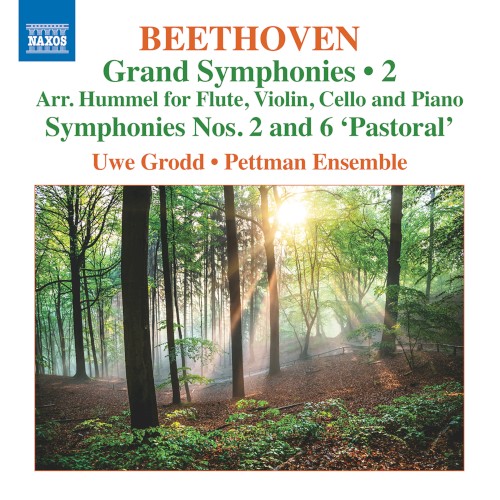 Grand Symphonies • 2