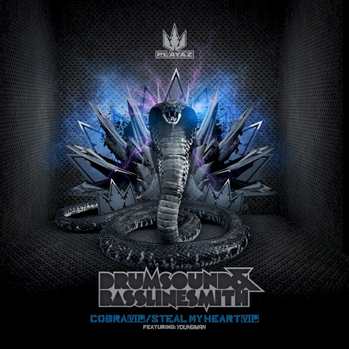 Cobra (VIP) / Steal My Heart (VIP)