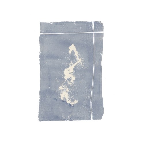 Architectures Of Light