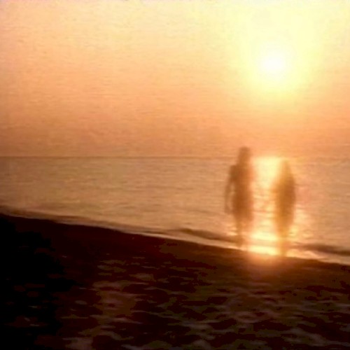 shimmer きらめく