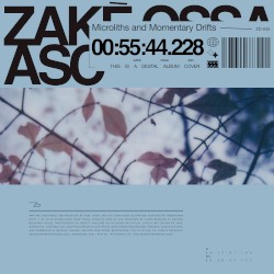 Microliths and Momentary Drifts