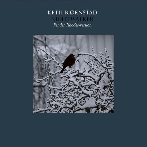 Nightwalker (Fender Rhodes Version)