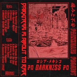 Painkiller Project (不安、痛み)