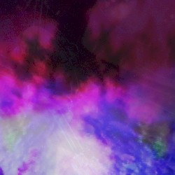 The Essence of Our Existence