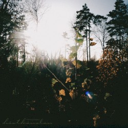 ✧˖° ༘ ɧöstkänslaɳ𓇢𓆸 ݁₊ ⊹ ˖°.