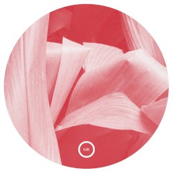 Battered From the Fall