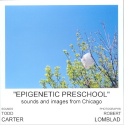 Epigenetic Preschool: Sounds and Images From Chicago