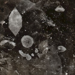 Hanam Quintet feat. Tristan Honsinger