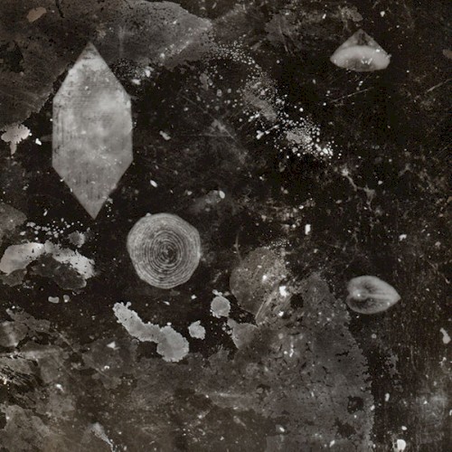 Hanam Quintet feat. Tristan Honsinger