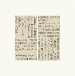 Verse of Birds